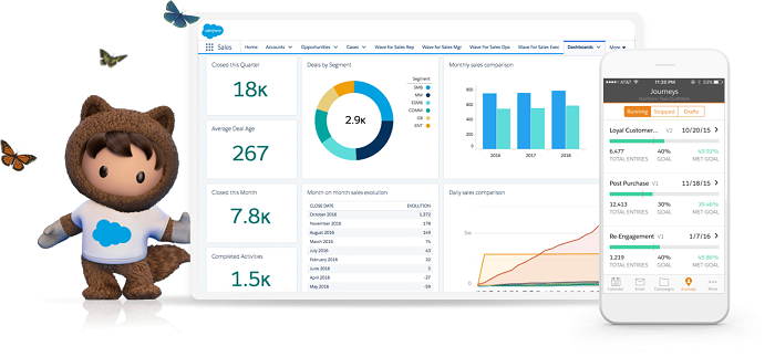 salesforce tool to their best and multiplies their returns